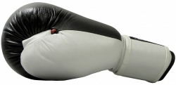 Boxing gloves RBT-50