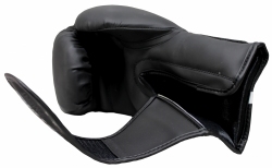 Boxing gloves RPU-MATT