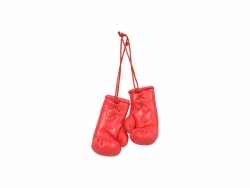 Mini boxing gloves MINI-SM-DSF