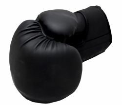 Boxing gloves RPU-MATT