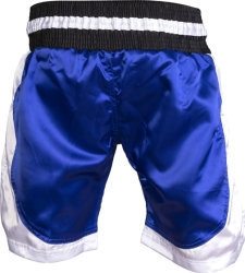 TOP TEN kick light shorts ( WAKO APPROVED)
