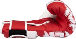 Boxing gloves TOP TEN RTT-NTB Marks 10 oz red (WAKO APPROVED)