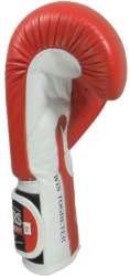 Boxing gloves RBT-PZKB-1 10 oz