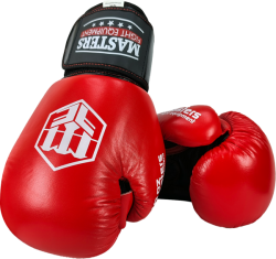 Boxing gloves RBT-SIMPLE