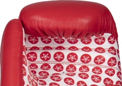 Boxing gloves TOP TEN FIGHT RTT-2 10 oz (WAKO APPROVED)