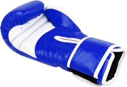 Boxing gloves MASTERS RBT-PERFECT-GRIP 12 oz