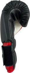 Boxing gloves MASTERS RPU-WRAPTOR 12 oz