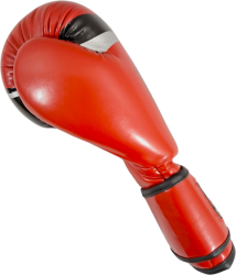 Boxing gloves MASTERS RPU-FT (WAKO APPROVED)