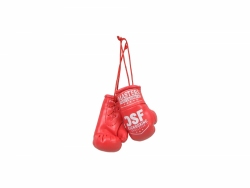 Mini boxing gloves MINI-SM-DSF