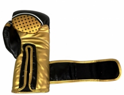 Boxing gloves RPU-10 black-gold