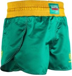 Training shorts ST-TIGER green