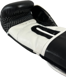 Boxing gloves MASTERS RPU-TR