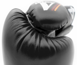 Boxing gloves TOP TEN RTT-4Select