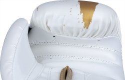 Boxing gloves RTT-POWER INK GOLDEN STAR white-gold