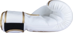 Boxing gloves RTT-POWER INK GOLDEN STAR white-gold