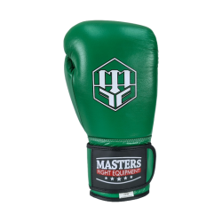 Boxing Gloves RBT-GREENSTRIKE
