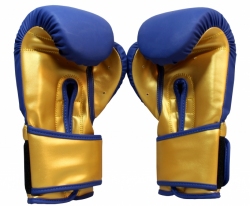 Boxing gloves RPU-COLOR/GOLD