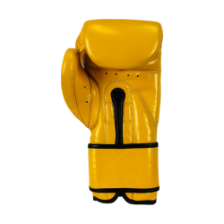 Boxing gloves RBT-MEX