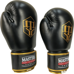 Boxing Gloves RPU-500