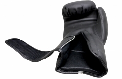 Boxing gloves RPU-MATT