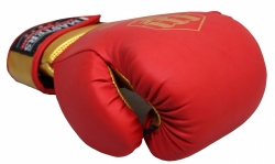 Boxing gloves RPU-COLOR/GOLD