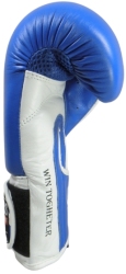 Boxing gloves RBT-PZKB-1 10 oz