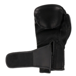 Boxing gloves MASTERS RPU-GLOSS