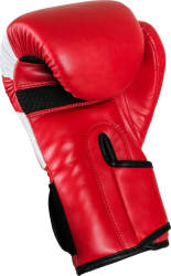 Boxing gloves RPU-STAR 12 oz red
