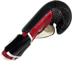 Boxing gloves RBT-A