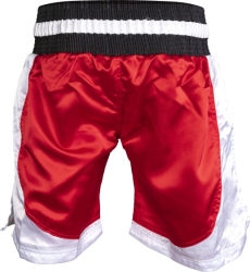 TOP TEN kick light shorts ( WAKO APPROVED)