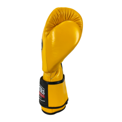 Boxing gloves RBT-MEX