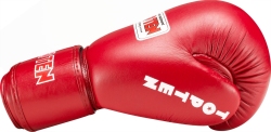 Boxing gloves leather RTT-COMPETITION 10oz (WORLD BOXING APPROVED)