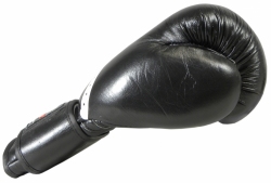 (S) Boxing gloves RBT-SPAR 20 oz