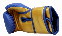 Boxing gloves RPU-COLOR/GOLD