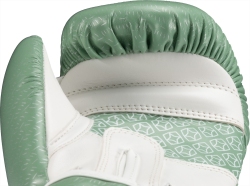 Boxing gloves RTT-SUPERIOR 10 oz