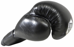 Boxing gloves RBT-SPAR 16 oz