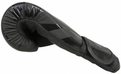 Boxing gloves RBT-MATT 12 oz