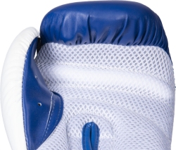 Boxing gloves RTT-NK3 10 oz