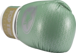 Boxing gloves RTT-SUPERIOR 10 oz