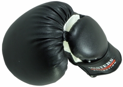 Boxing gloves MASTERS JUNIOR COLLECTION RPU-MJC 8-10 oz