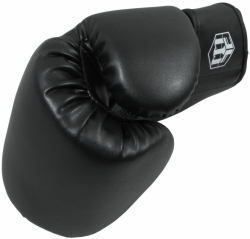 Boxing gloves MASTERS RPU-MFE