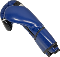 Boxing gloves MASTERS RPU-FT (WAKO APPROVED)