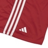 Boxing shorts ADIDAS