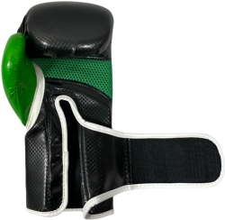 Boxing gloves MASTERS RPU-PRO 10 oz