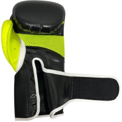 Boxing gloves MASTERS RPU-PRO 10 oz