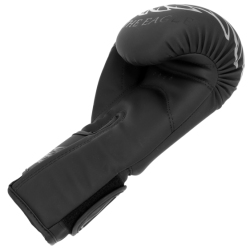 Boxing gloves RPU-BLACK-EAGLE