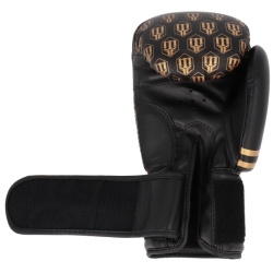 Boxing gloves RPU-20 MASTERS 10 oz black-gold