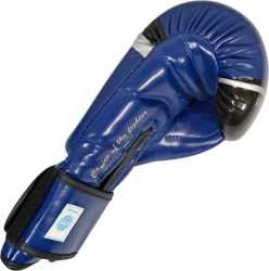 Boxing gloves MASTERS RPU-FT (WAKO APPROVED)