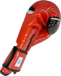 Boxing gloves MASTERS RPU-FT (WAKO APPROVED)