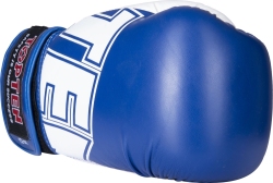 Boxing gloves RTT-NK3 10 oz